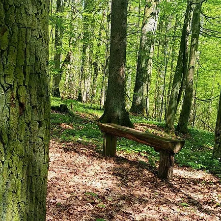 Na Wzgorzu - Nr 2 Дом отдыха Мронгово