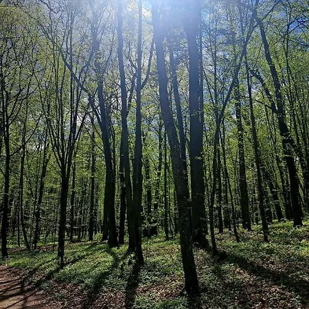 Na Wzgorzu - Nr 2 Дом отдыха Мронгово