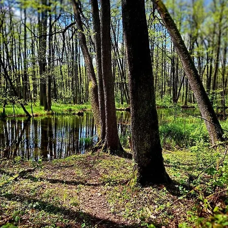 Na Wzgorzu - Nr 2 * Mrągowo