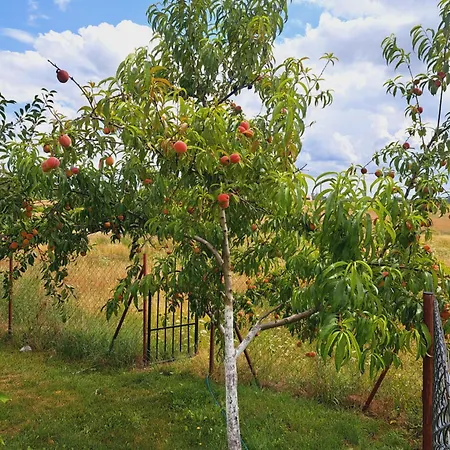 Feriehus Na Wzgorzu - Nr 2 Mrągowo