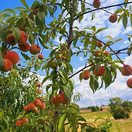 Na Wzgorzu - Nr 2 Дом отдыха *